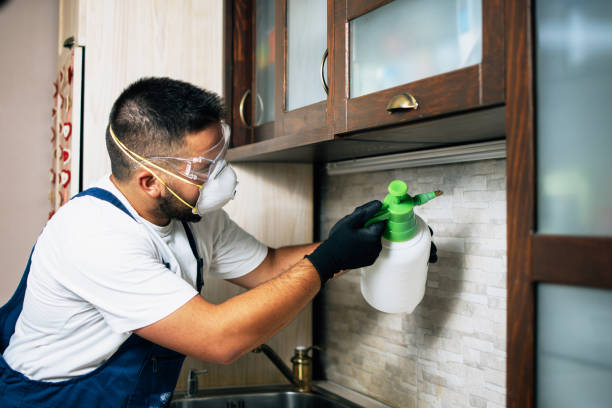 Best Commercial Pest Control Services  in Terryville, NY