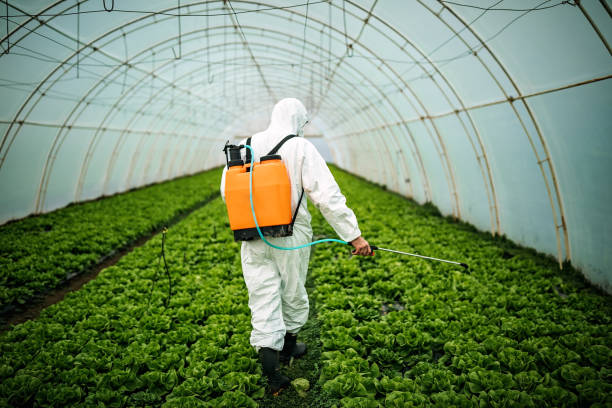  Terryville, NY Pest Control Pros