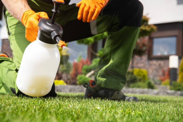 Pest Control Cost in Terryville, NY