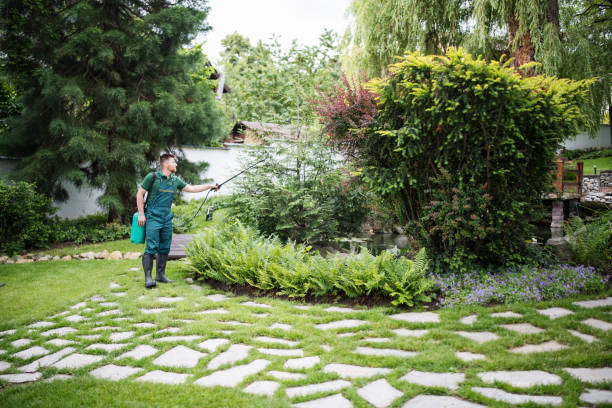 Best Commercial Pest Control Services  in Terryville, NY