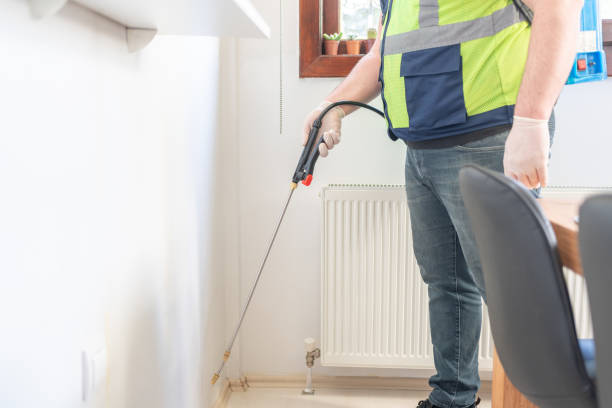 Best Emergency Pest Control  in Terryville, NY