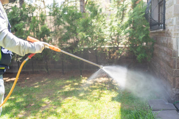 Best Best Pest Control Companies  in Terryville, NY
