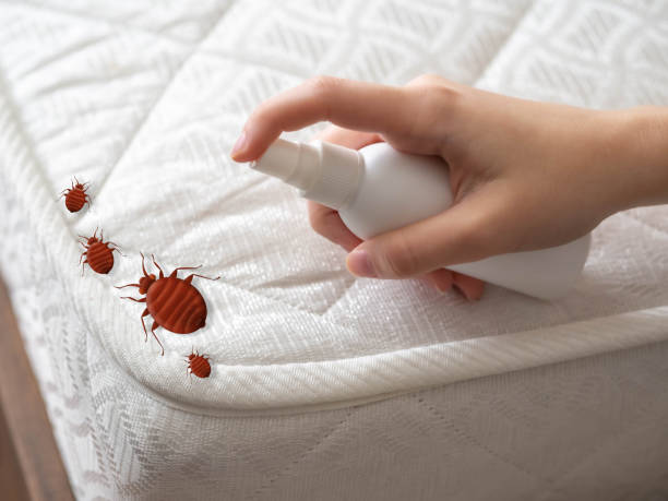 Trusted Terryville, NY Pest Control Experts