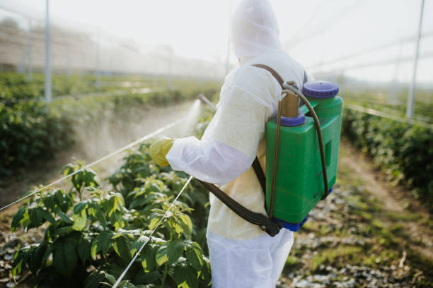 Best Pest Prevention Services  in Terryville, NY